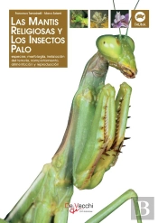 La Mantis Religiosa Y Los Insectos Palo