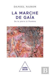 La Marche De Gaia - De La Pierre A L'Homme