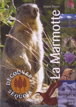 Bertrand.pt - La Marmotte