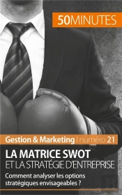 La Matrice Swot Et La Stratégie D'Entreprise : Comment Analyser Les Options Stratégiques Envisageables ?