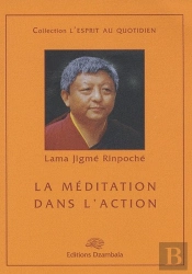 La Méditation Dans L'Action