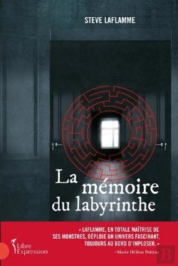 Bertrand.pt - La Mémoire Du Labyrinthe : Une Enquête De Frédérique Santinelli Et Guillaume Volta