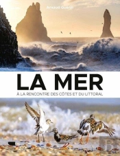 La Mer : A La Rencontre Des Côtes Et Du Littoral