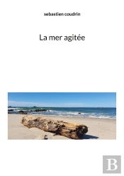La Mer Agitée
