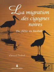 La Migration Des Cigognes Noires