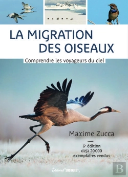 Bertrand.pt - La Migration Des Oiseaux : Comprendre Les Voyageurs Du Ciel (6e Édition)