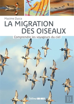 Bertrand.pt - La Migration Des Oiseaux : Comprendre Les Voyageurs Du Ciel