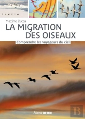 La Migration Des Oiseaux : Comprendre Les Voyageurs Du Ciel