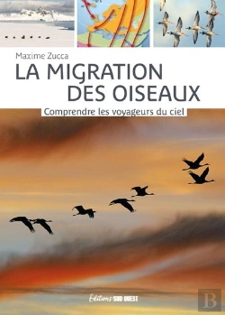Bertrand.pt - La Migration Des Oiseaux : Comprendre Les Voyageurs Du Ciel