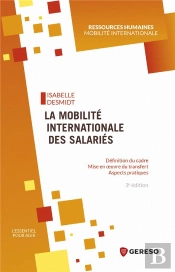 La Mobilite Internationale Des Salaries - Definition Du Cadre - Mise En Oeuvre Du Transfert - Aspect
