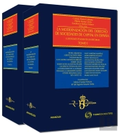 La Modernización Del Derecho De Sociedades De Capital En España (Tomo I) - Cuestiones Pendientes De