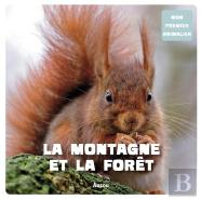 La Montagne Et Forêt