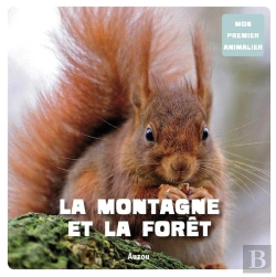 Bertrand.pt - La Montagne Et Forêt