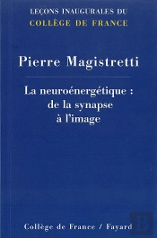 La Neuroénergétique : De La Synapse À L'Image