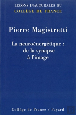 Bertrand.pt - La Neuroénergétique : De La Synapse À L'Image
