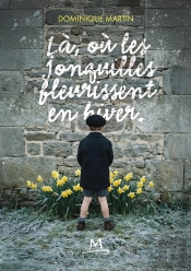 La Où Le Jonquilles Fleurissent En Hiver