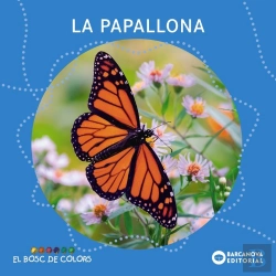 Bertrand.pt - La Papallona