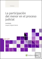 La Participacion Del Menor En El Proceso Judicial