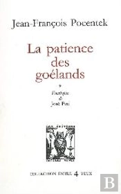 La Patience Des Goélands