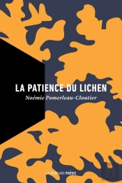 La Patience Du Lichen