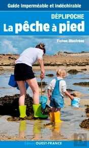 La Pêche À Pied ; Fiches Illustrées