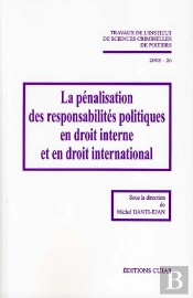 La Pénalisation Des Responsabilités Politiques En Droit Interne Et En Droit International (Édition 2008)