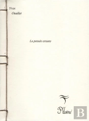 La Pensee Errante