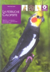 La Perruche Calopsitte