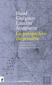 La Perspective Du Possible