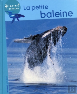 Bertrand.pt - La Petite Baleine