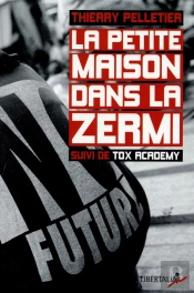 La Petite Maison Dans La Zermi ; Chroniques D'Un Saisonnier De La Misère