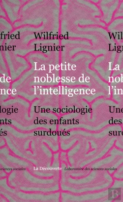 Bertrand.pt - La Petite Noblesse De L'Intélligence ; Une Sociologie Des Enfants Surdoués