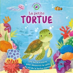Bertrand.pt - La Petite Tortue