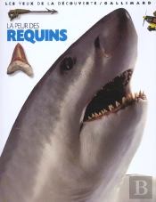 La Peur Des Requins