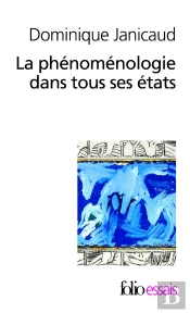 La Phénoménologie Dans Tous Ses États