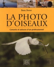 La Photo D'Oiseaux ; Conseils Et Astuces D'Un Professionnel