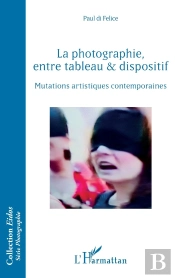 La Photographie, Entre Tableau Et Dispositif ; Mutations Artistiques Contemporaines