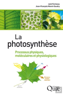 Bertrand.pt - La Photosynthèse