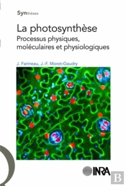 Bertrand.pt - La Photosynthèse ; Processus Physiques, Moléculaires Et Physiologiques