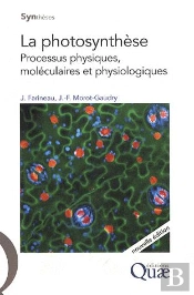 La Photosynthèse ; Processus Physiques, Moléculaires Et Physiologiques