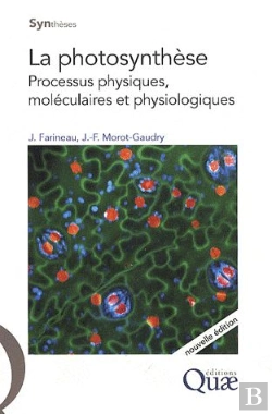 Bertrand.pt - La Photosynthèse ; Processus Physiques, Moléculaires Et Physiologiques