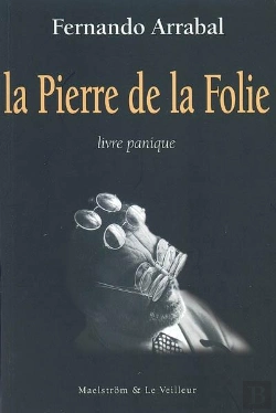 Bertrand.pt - La Pierre De La Folie ; Livre Panique