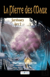 La Pierre Des Maux Livre 2 Survivants : La Pierre Des Maux Livre 2 Survivants
