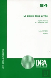 La Plante Dans La Ville
