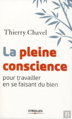 Bertrand.pt - La Pleine Conscience Pour Travailler En Se Faisant Du Bien