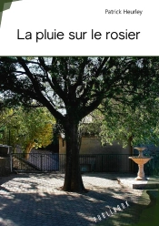 La Pluie Sur Le Rosier
