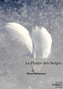 Bertrand.pt - La Plume Des Neiges