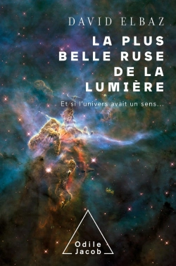Bertrand.pt - La Plus Belle Ruse De La Lumière : Et Si L'Univers Avait Un Sens...