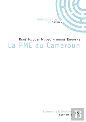 La Pme Au Cameroun