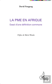 La Pme En Afrique ; Essai D'Une Définition Commune